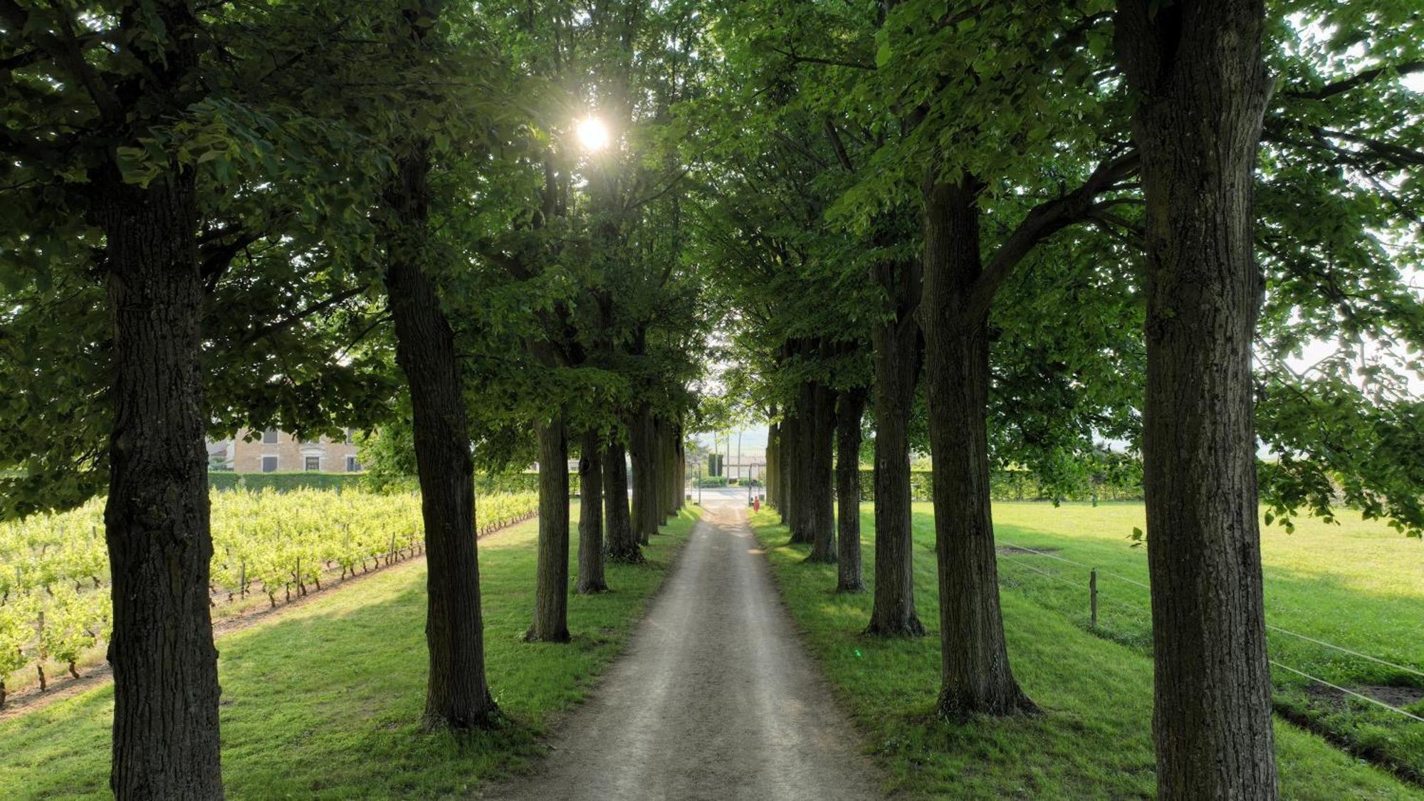Pommiers  Domaine De Montclair B&B 외부 사진