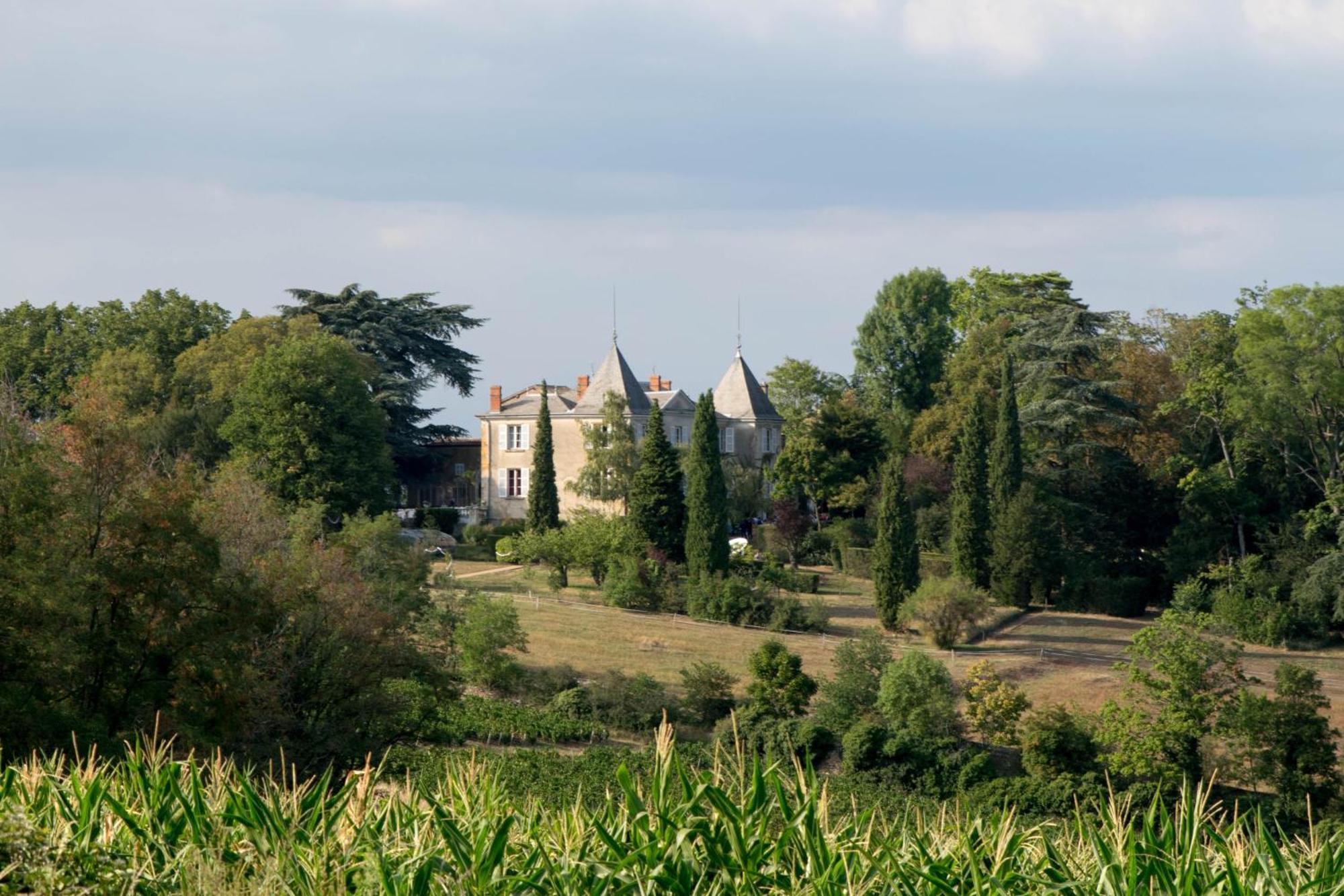 Pommiers  Domaine De Montclair B&B 외부 사진